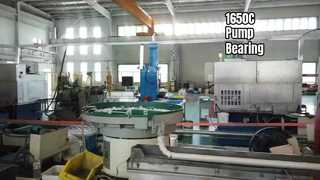 Extreme Temp Pump Bearings 1650C