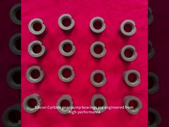 Gear Pump Bearing 