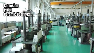 Ceramic Bearings for Stainless Steel Apps