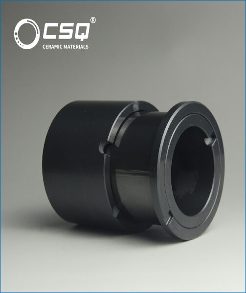 Ceramic Roller Bearings