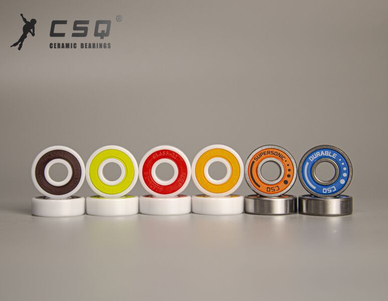 Silicon Carbide Bearing