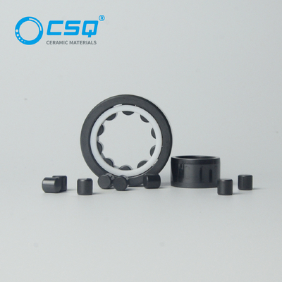 Nu 205 NU 202 Nu 206 Ceramic Roller Bearings SSiC Races Balls PTFE Caged