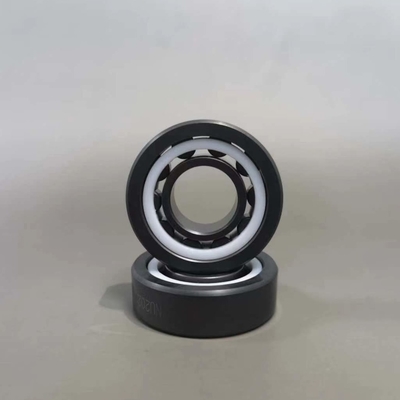 Nu 205 NU 202 Nu 206 Ceramic Roller Bearings SSiC Races Balls PTFE Caged