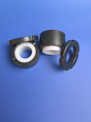 silicon carbide  pump structural components