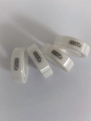 6000 6001 6002 6003ce Zirconium Oxide Bearings For Pumps Valves Handling Corrosive Fluids Acids / Alkalis