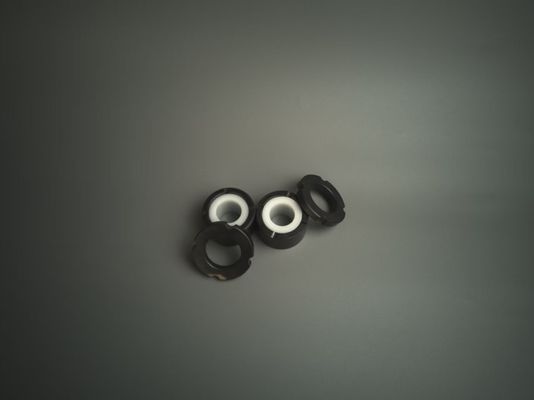 silicon carbide  pump structural components