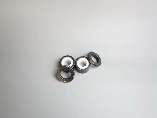 silicon carbide  pump structural components